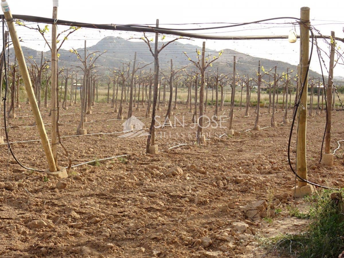 1 chambre Finca/Maison de Campagne à vendre à Aspe - 121 260 € (Ref: 3902237)