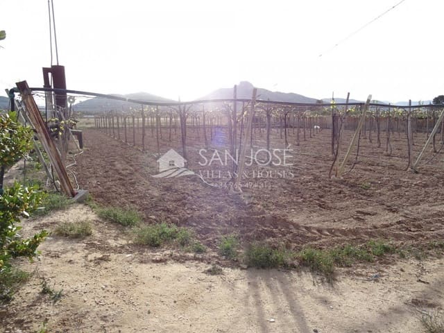 1 quarto Quinta/Casa Rural para venda em Aspe - 121 260 € (Ref: 3902237)