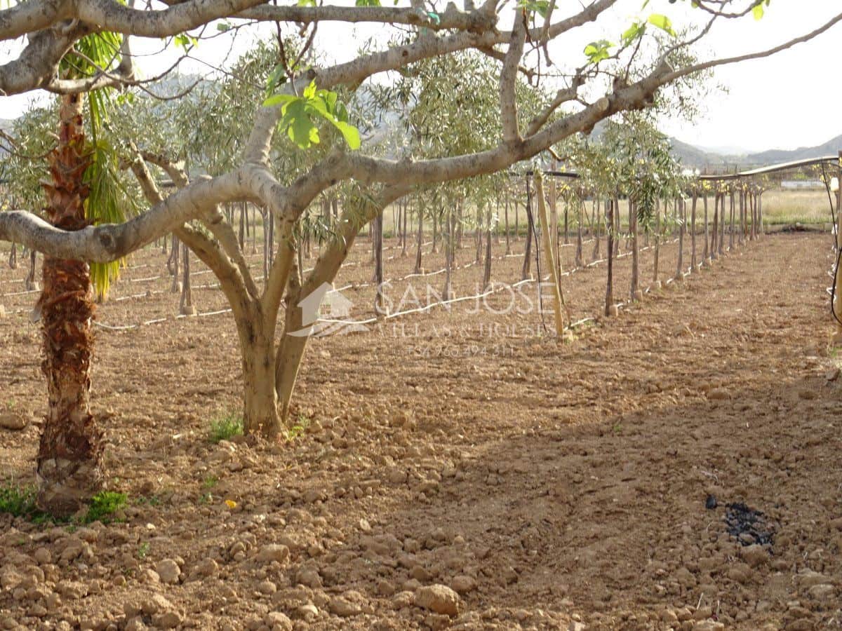 1 chambre Finca/Maison de Campagne à vendre à Aspe - 121 260 € (Ref: 3902237)