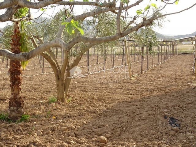 1 quarto Quinta/Casa Rural para venda em Aspe - 121 260 € (Ref: 3902237)