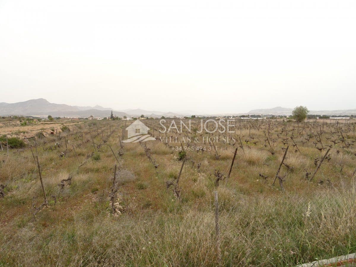 Grunde uden byggetilladelser til salg i Novelda - € 85.000 (Ref: 4022154)