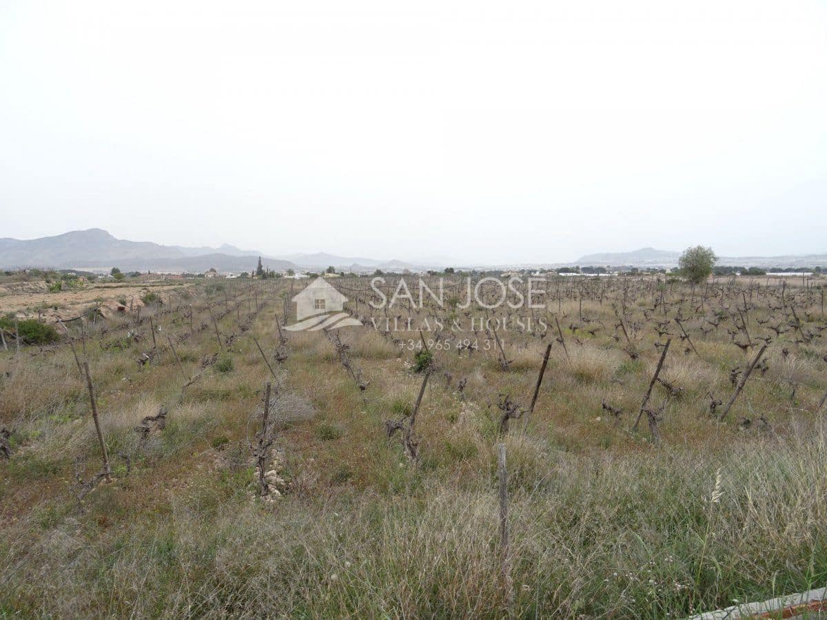 Grunde uden byggetilladelser til salg i Novelda - € 85.000 (Ref: 4022154)