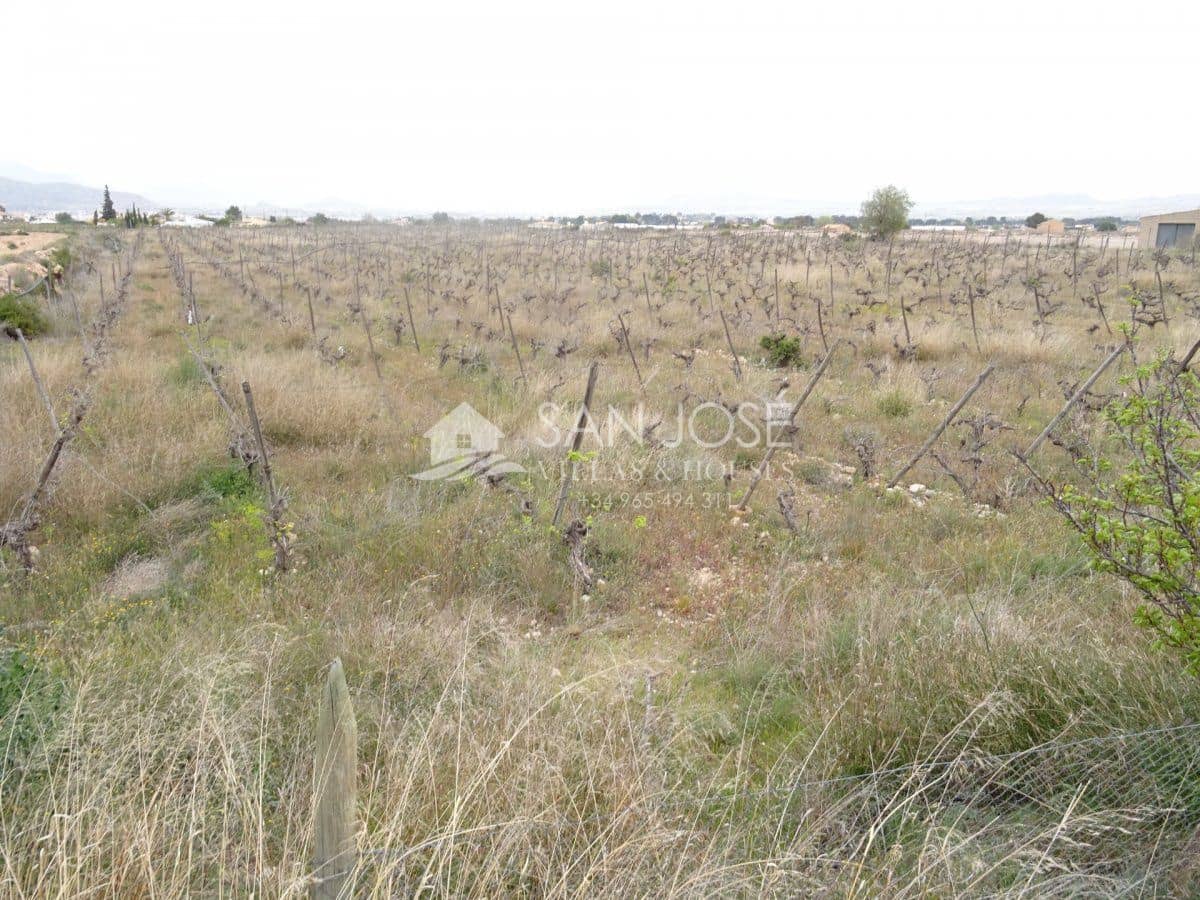 Grunde uden byggetilladelser til salg i Novelda - € 85.000 (Ref: 4022154)