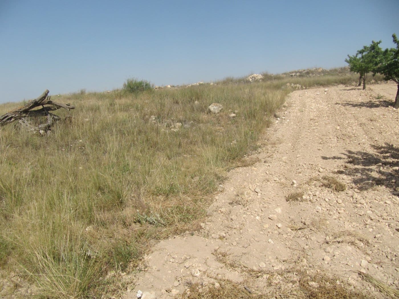 5 chambre Finca/Maison de Campagne à vendre à Canada del Trigo - 101 000 € (Ref: 4040881)