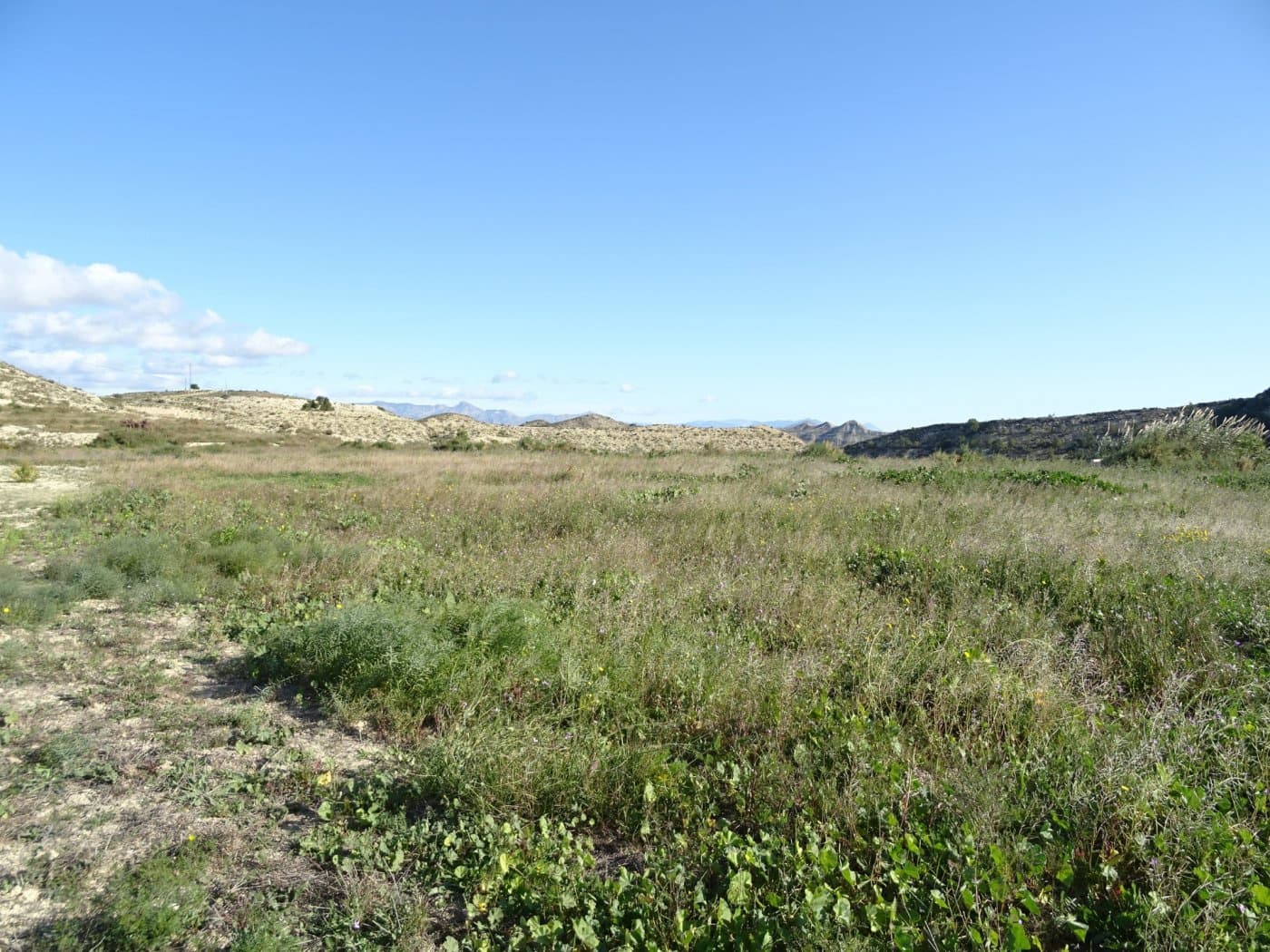 3 Zimmer Villa zu verkaufen in Aspe - 137.260 € (Ref: 4891424)