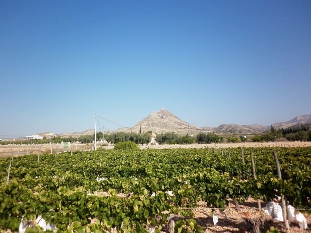 Mark till salu i Novelda - 49 840 € (Ref: 5336929)