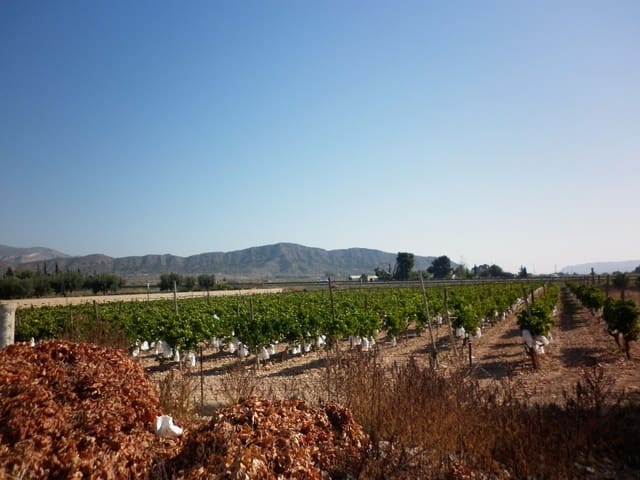 Mark till salu i Novelda - 49 840 € (Ref: 5336929)