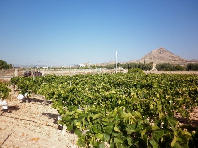 Mark till salu i Novelda - 49 840 € (Ref: 5336929)