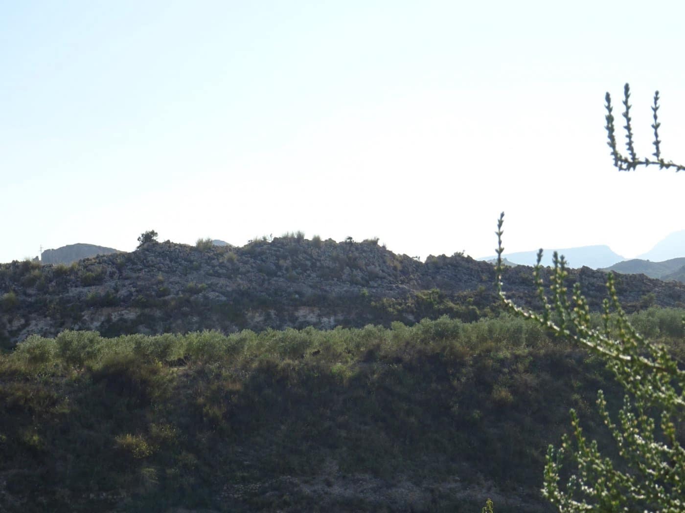 2 bedroom Villa for sale in Aspe - € 193,260 (Ref: 6195355)