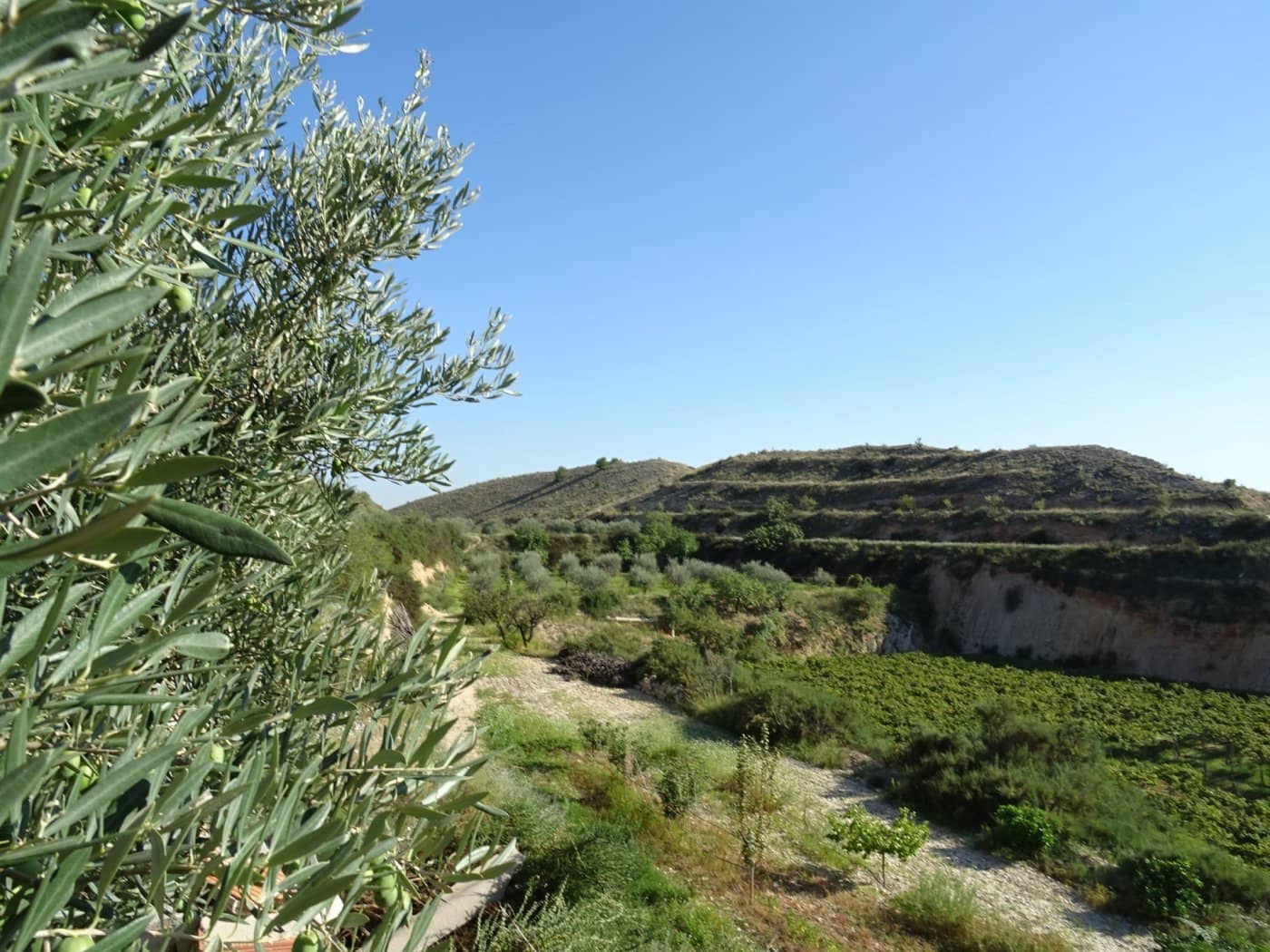 2 bedroom Villa for sale in Aspe - € 193,260 (Ref: 6195355)