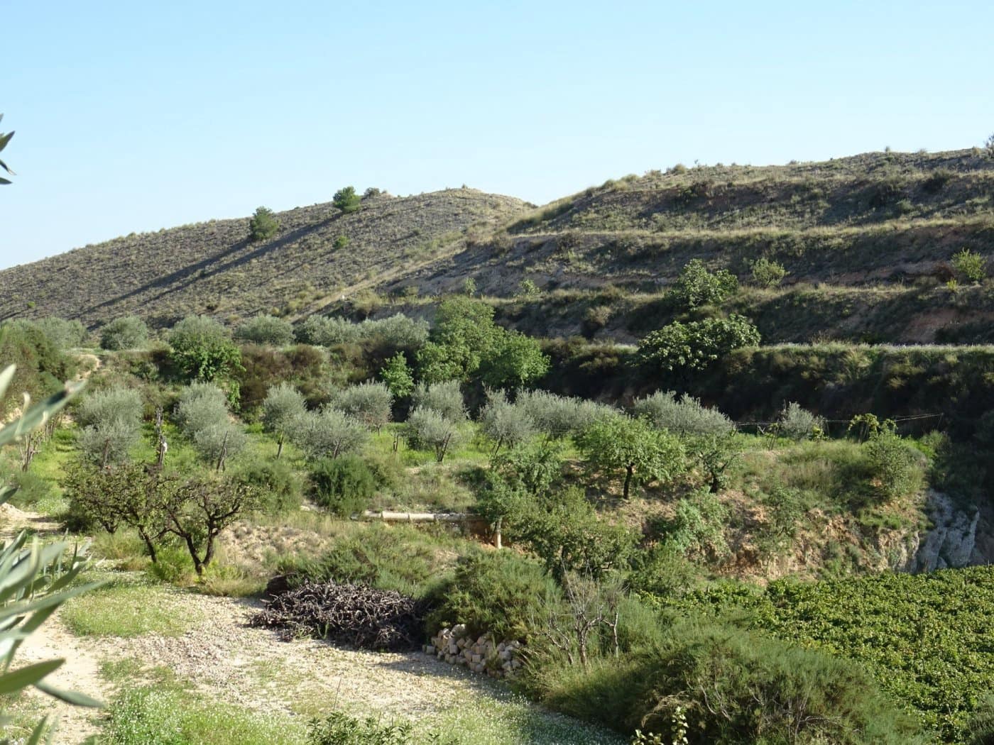 2 bedroom Villa for sale in Aspe - € 193,260 (Ref: 6195355)