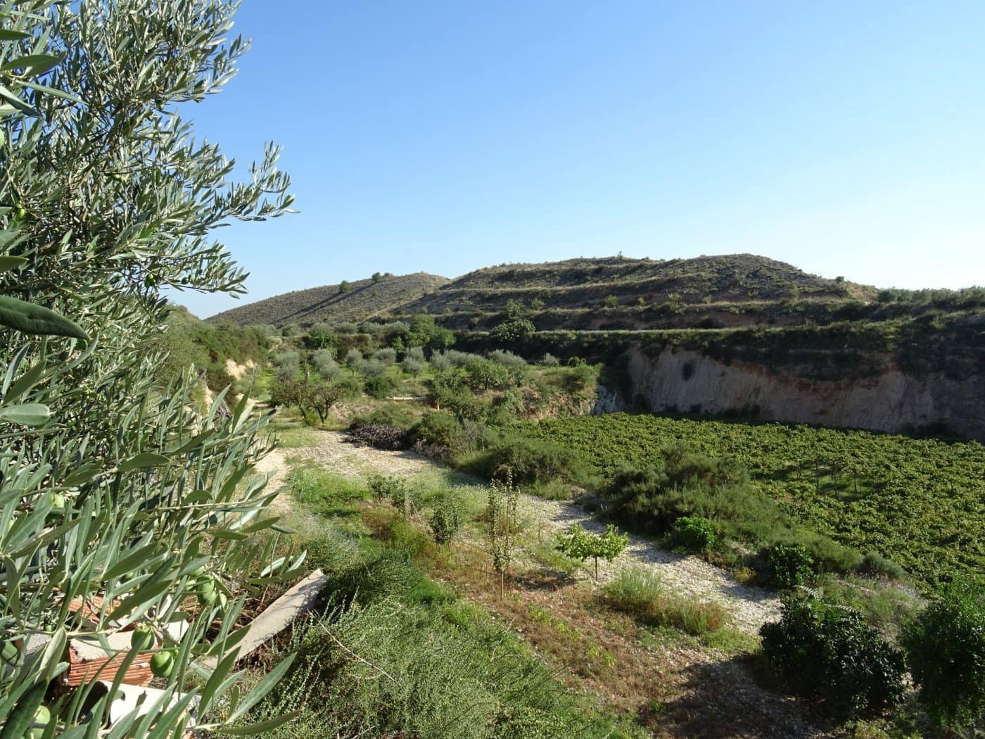 2 bedroom Villa for sale in Aspe - € 193,260 (Ref: 6195355)