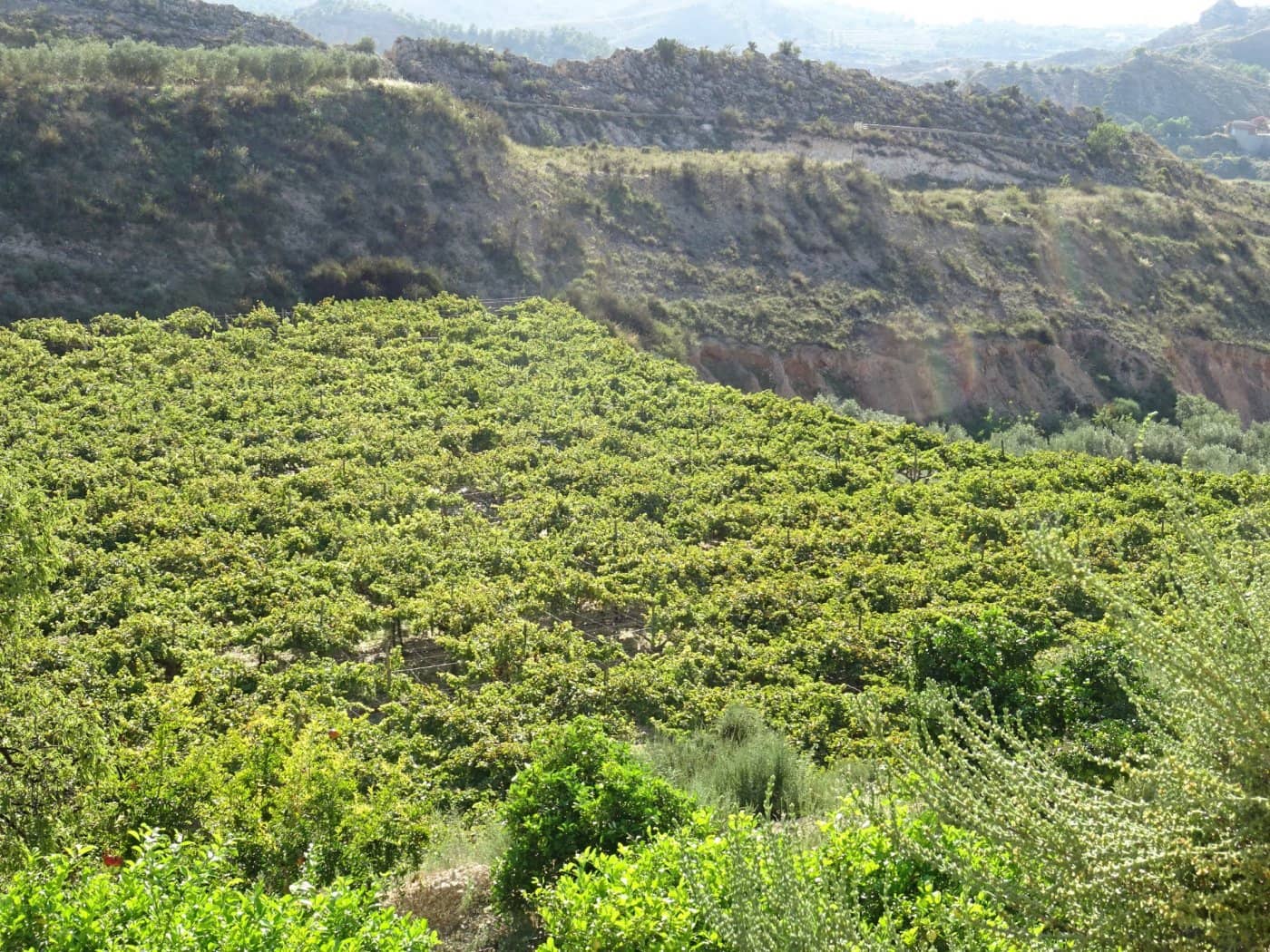 2 bedroom Villa for sale in Aspe - € 193,260 (Ref: 6195355)