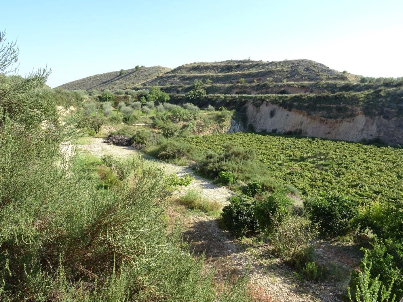 2 bedroom Villa for sale in Aspe - € 193,260 (Ref: 6195355)