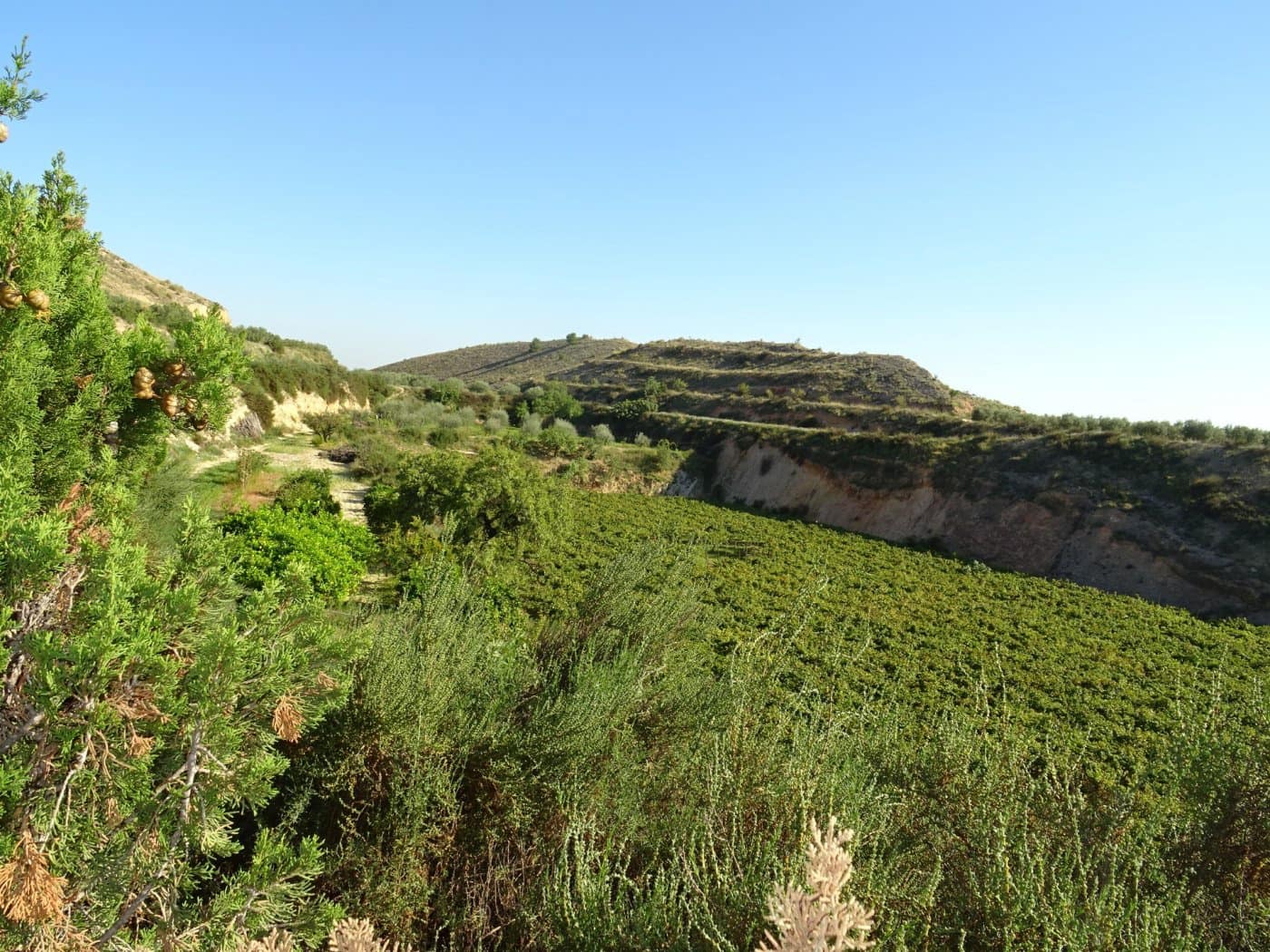 2 bedroom Villa for sale in Aspe - € 193,260 (Ref: 6195355)