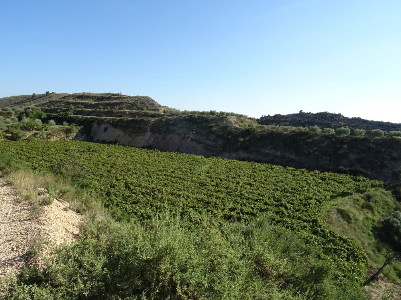 2 bedroom Villa for sale in Aspe - € 193,260 (Ref: 6195355)