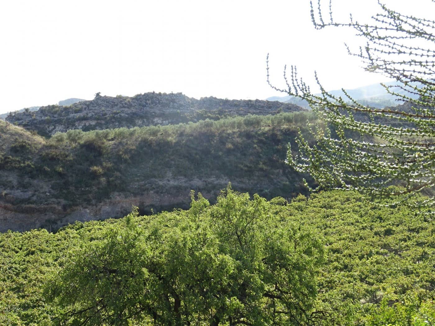 2 bedroom Villa for sale in Aspe - € 193,260 (Ref: 6195355)