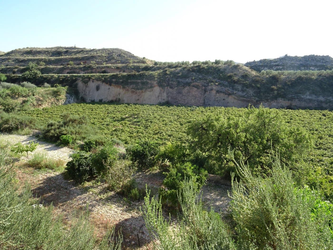 2 bedroom Villa for sale in Aspe - € 193,260 (Ref: 6195355)