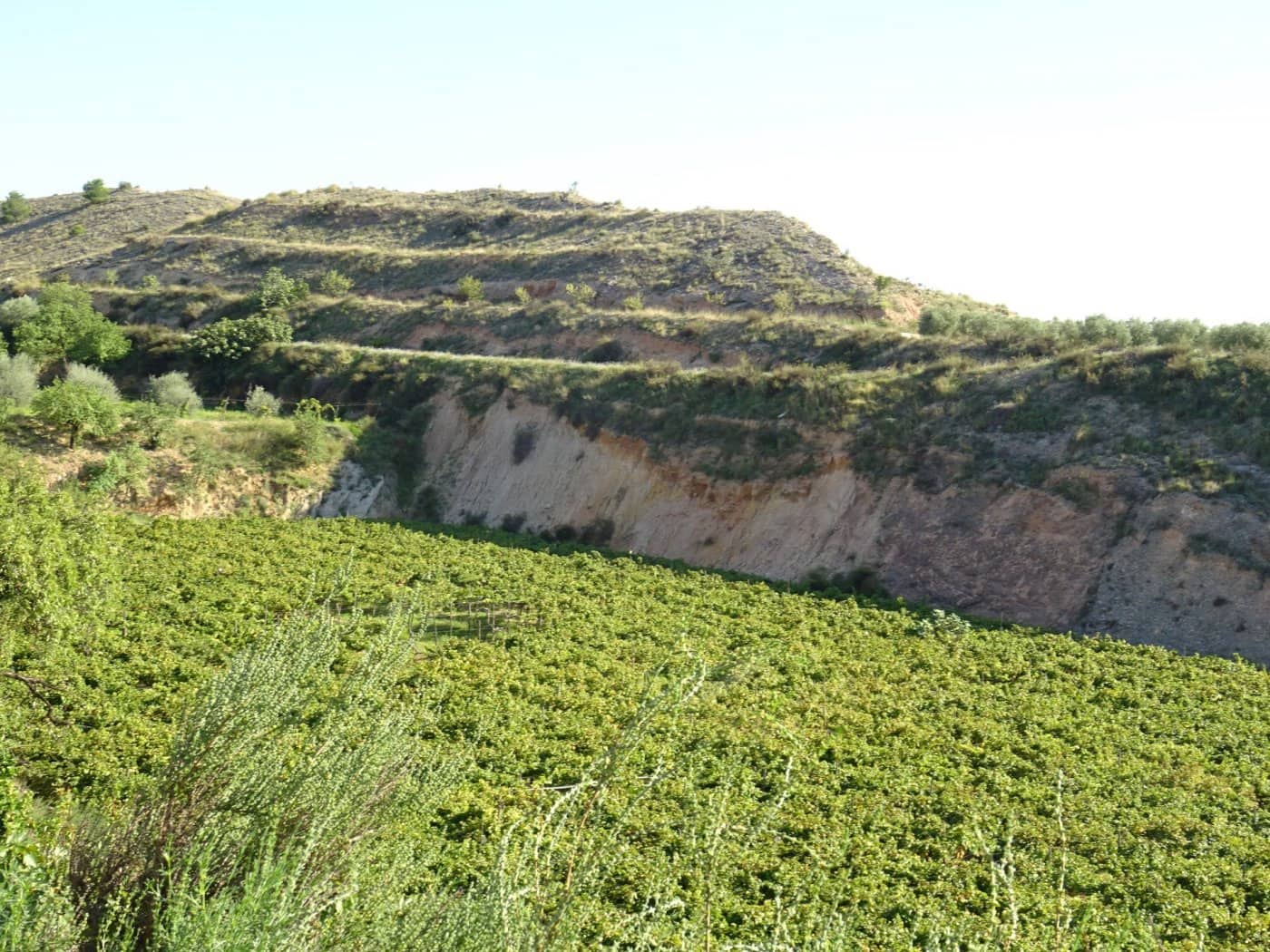 2 bedroom Villa for sale in Aspe - € 193,260 (Ref: 6195355)