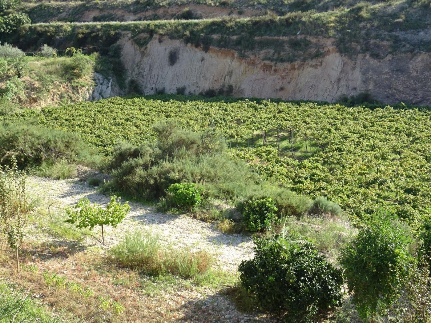 2 bedroom Villa for sale in Aspe - € 193,260 (Ref: 6195355)