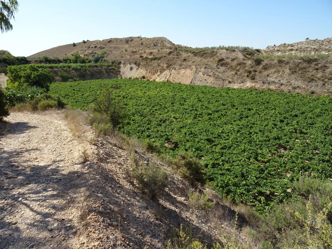 2 bedroom Villa for sale in Aspe - € 193,260 (Ref: 6195355)