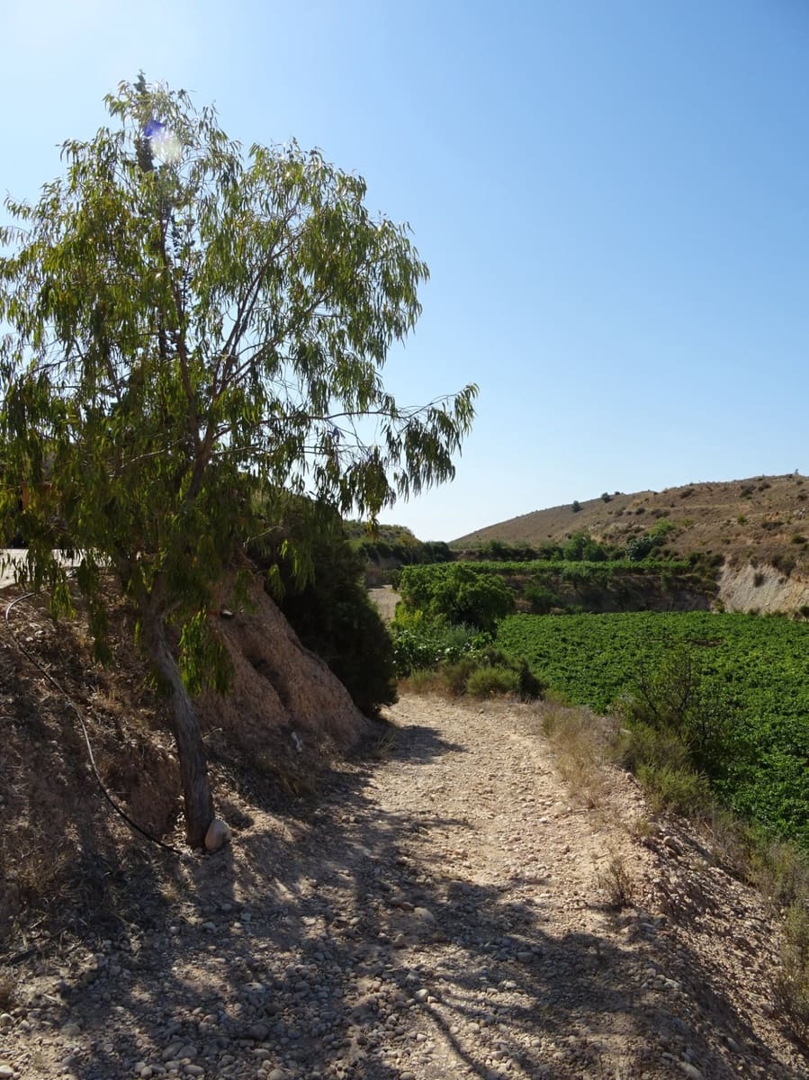 2 bedroom Villa for sale in Aspe - € 193,260 (Ref: 6195355)