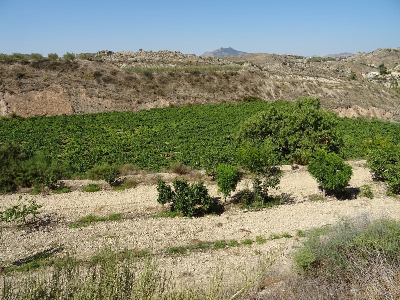 2 bedroom Villa for sale in Aspe - € 193,260 (Ref: 6195355)