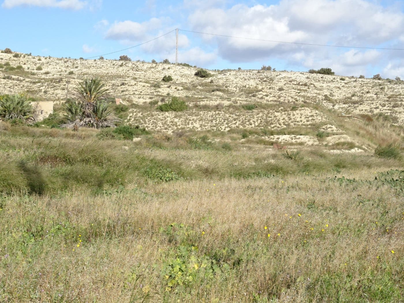 Grunde uden byggetilladelser til salg i Aspe - € 137.260 (Ref: 6195357)