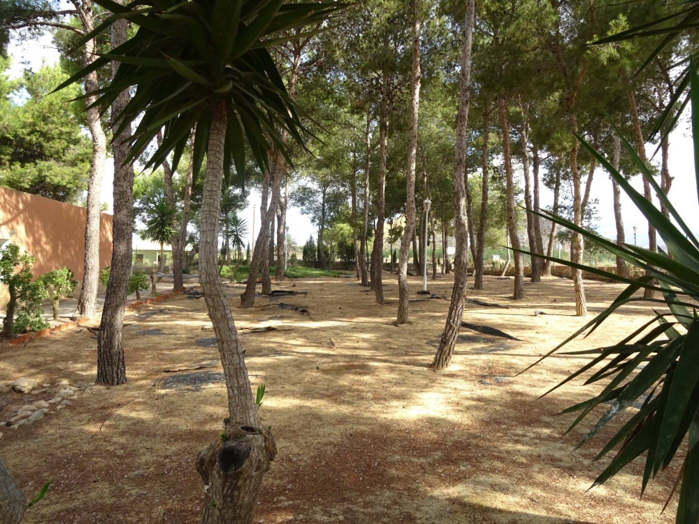 5 bedroom Villa for sale in Agost with pool garage - € 424,200 (Ref: 6195400)