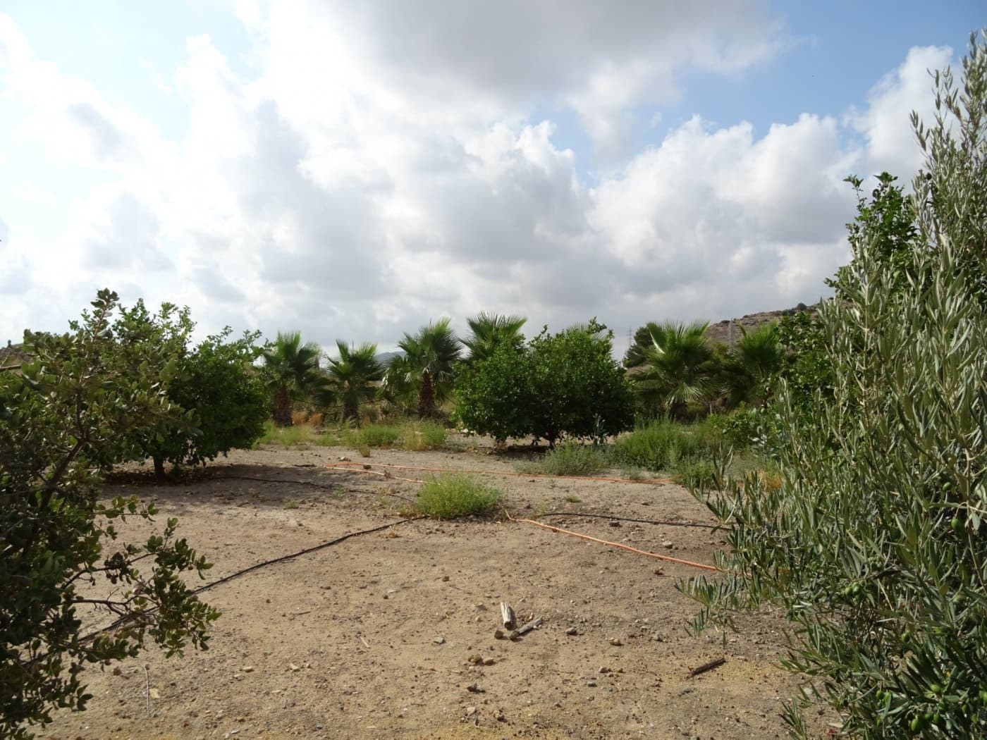 5 bedroom Villa for sale in Agost with pool garage - € 424,200 (Ref: 6195400)