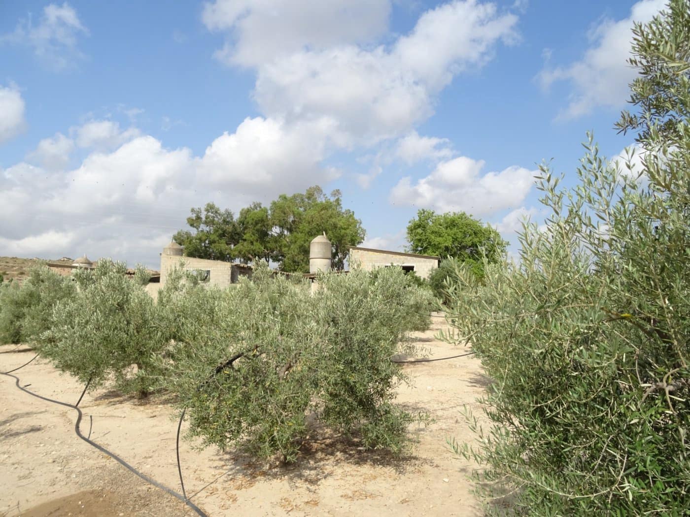 5 bedroom Villa for sale in Agost with pool garage - € 424,200 (Ref: 6195400)