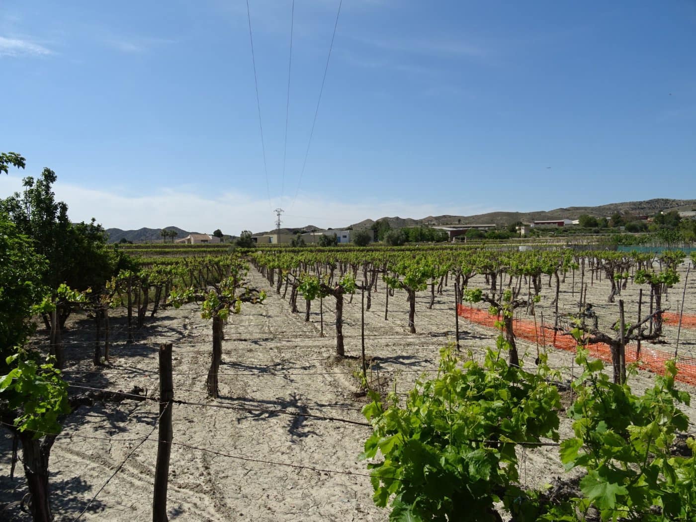 1 bedroom Finca/Country House for sale in Aspe - € 81,050 (Ref: 6195500)