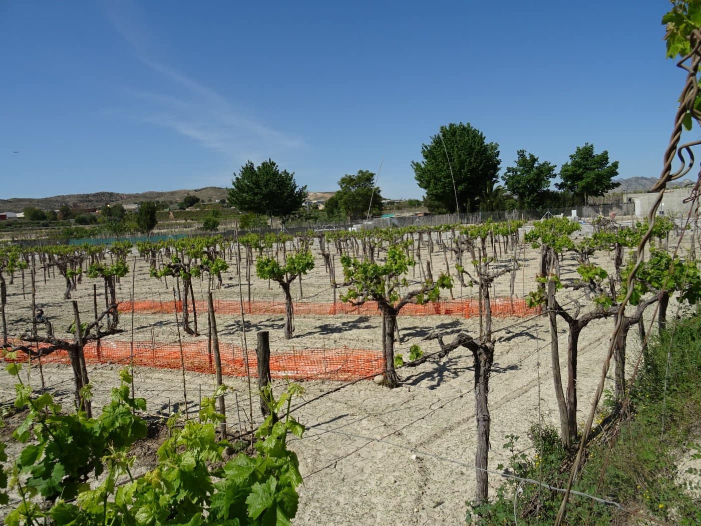 1 bedroom Finca/Country House for sale in Aspe - € 81,050 (Ref: 6195500)