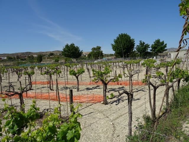 1 quarto Quinta/Casa Rural para venda em Aspe - 81 050 € (Ref: 6195500)