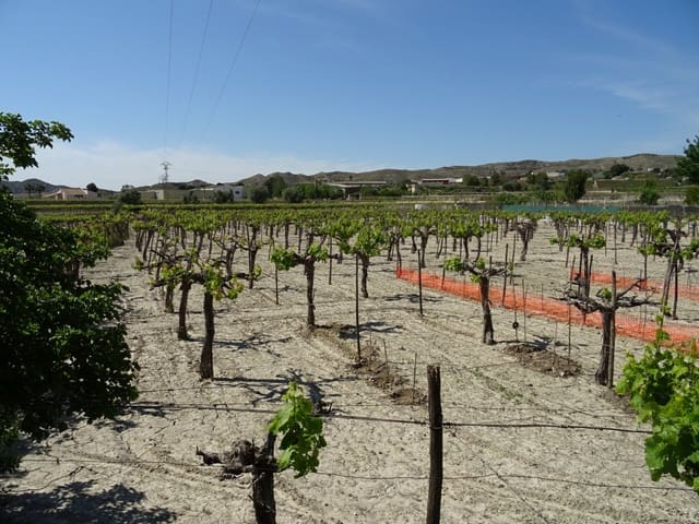 1 quarto Quinta/Casa Rural para venda em Aspe - 81 050 € (Ref: 6195500)