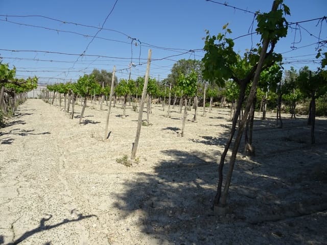 1 quarto Quinta/Casa Rural para venda em Aspe - 81 050 € (Ref: 6195500)