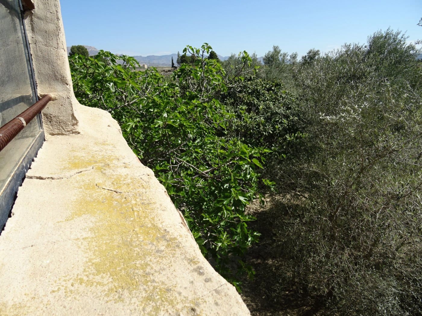 1 bedroom Finca/Country House for sale in Aspe - € 81,050 (Ref: 6195500)