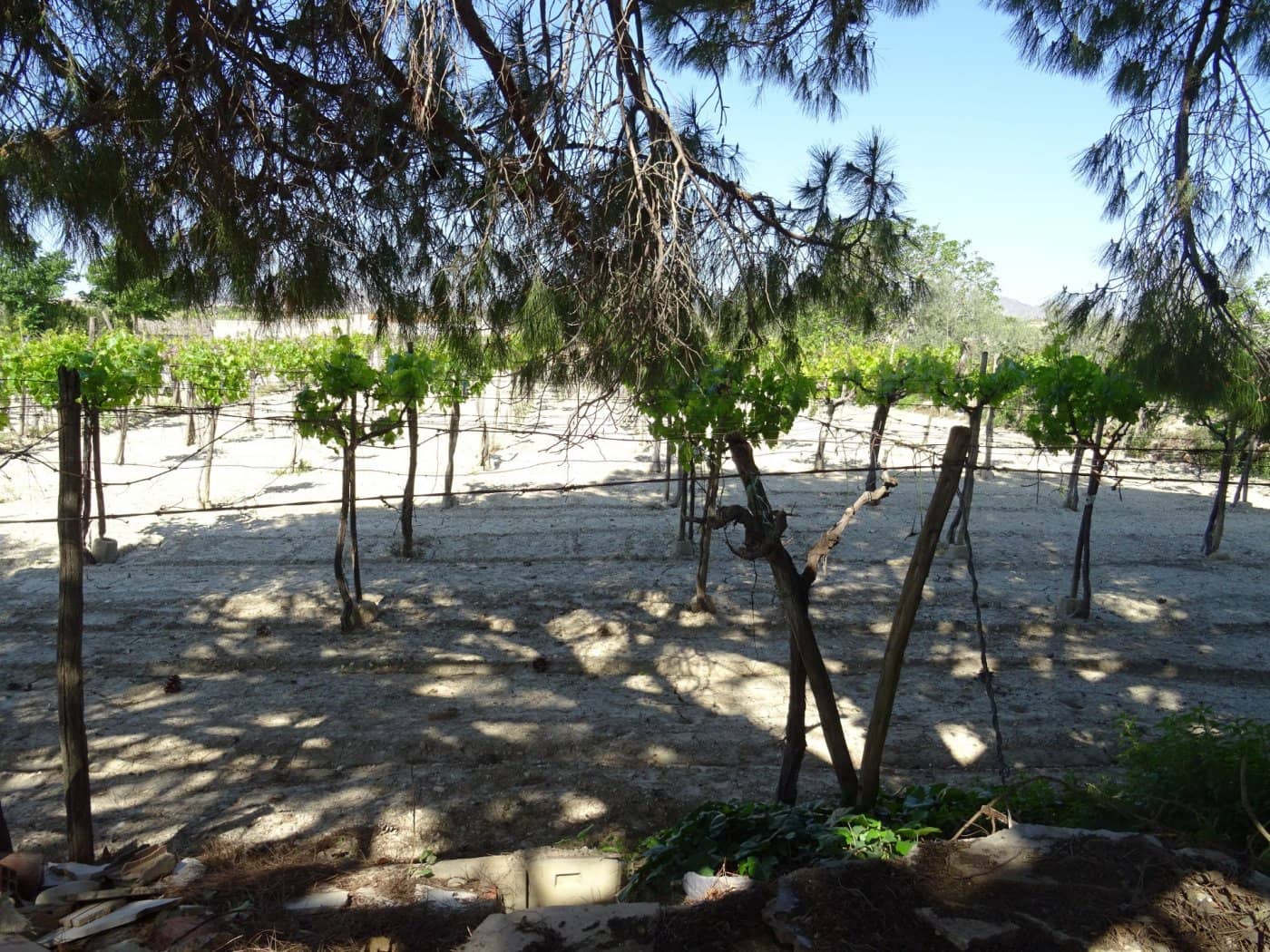 1 bedroom Finca/Country House for sale in Aspe - € 81,050 (Ref: 6195500)