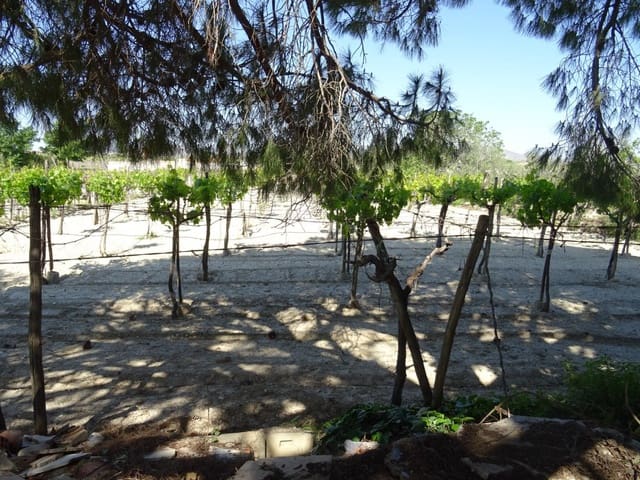 1 quarto Quinta/Casa Rural para venda em Aspe - 81 050 € (Ref: 6195500)