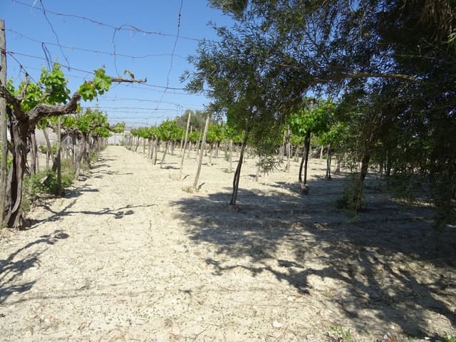 1 quarto Quinta/Casa Rural para venda em Aspe - 81 050 € (Ref: 6195500)