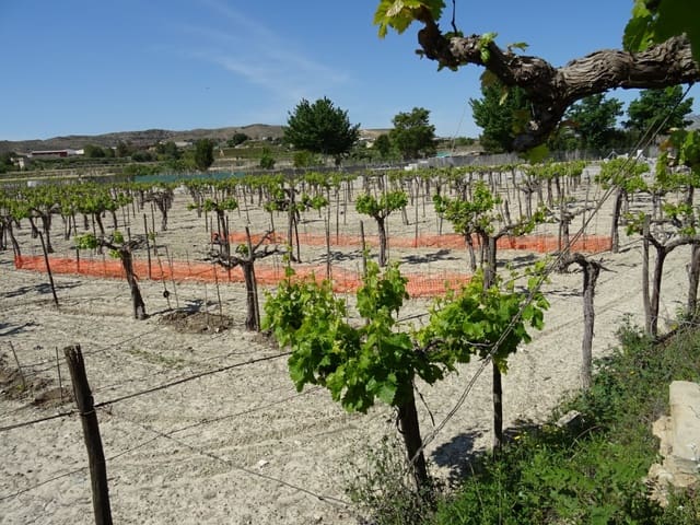 1 quarto Quinta/Casa Rural para venda em Aspe - 81 050 € (Ref: 6195500)