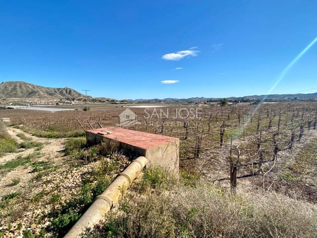 Mark till salu i Aspe - 72 290 € (Ref: 6195579)