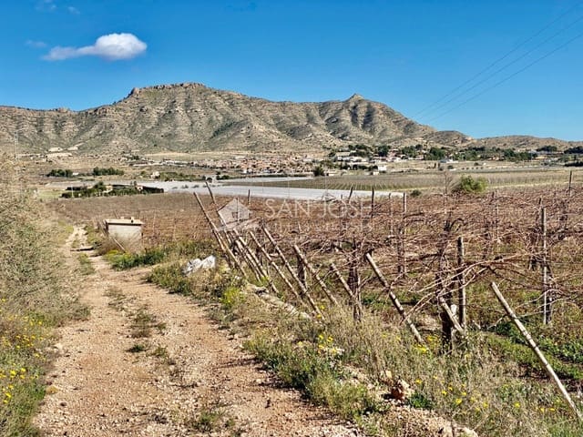 Mark till salu i Aspe - 72 290 € (Ref: 6195579)