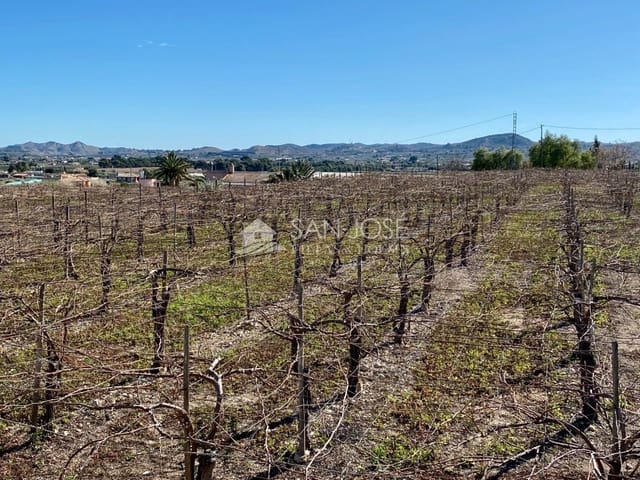 Mark till salu i Aspe - 72 290 € (Ref: 6195579)