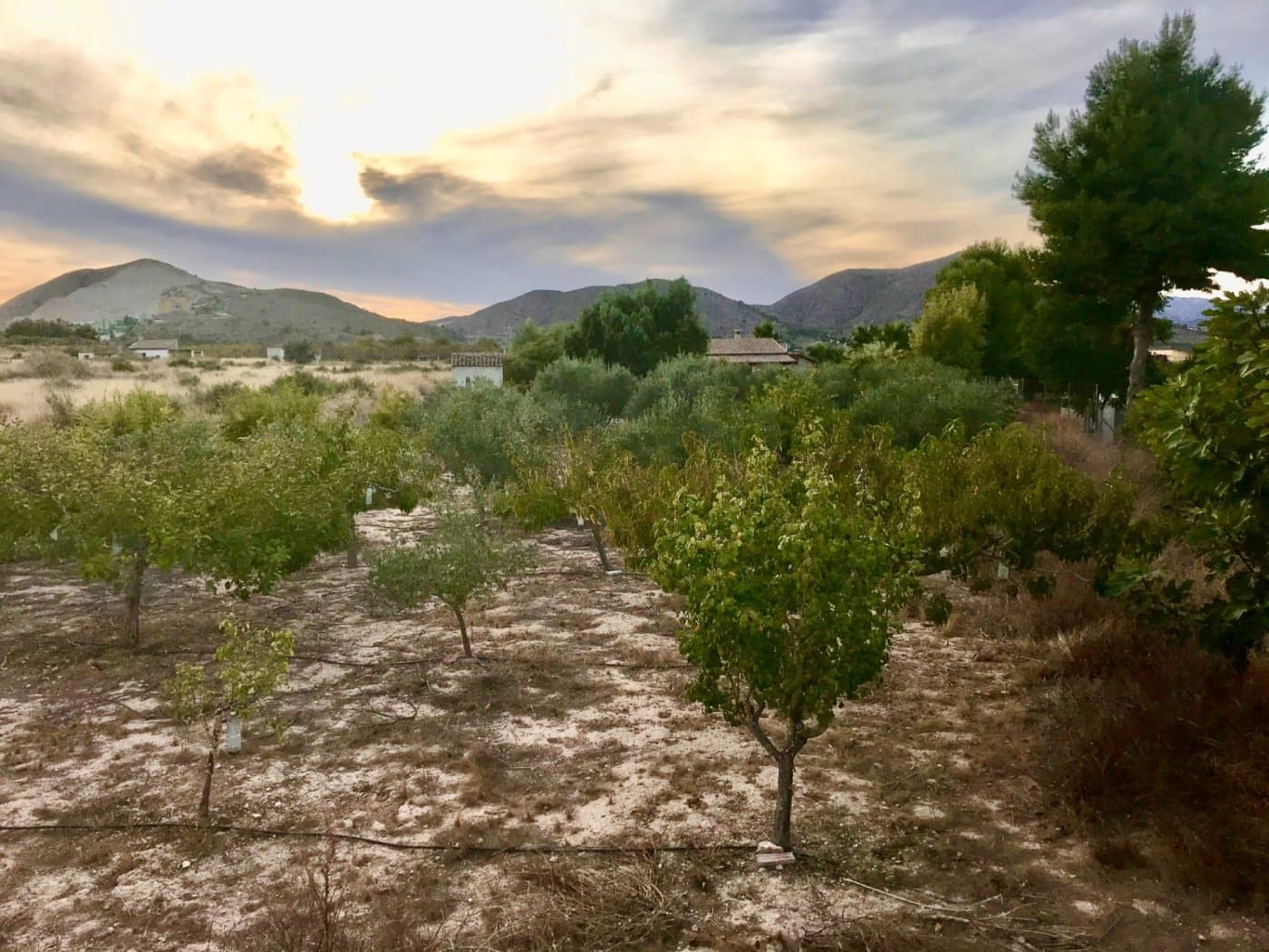 4 bedroom Villa for sale in Aspe with pool - € 362,705 (Ref: 6196406)