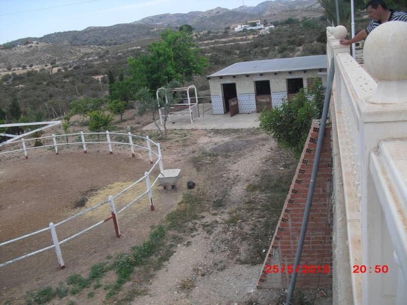 5 soveværelse Villa til salg i Elche / Elx med swimmingpool - € 700.000 (Ref: 6615046)