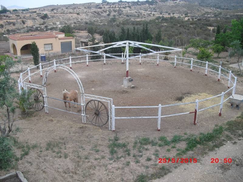 5 soveværelse Villa til salg i Elche / Elx med swimmingpool - € 700.000 (Ref: 6615046)