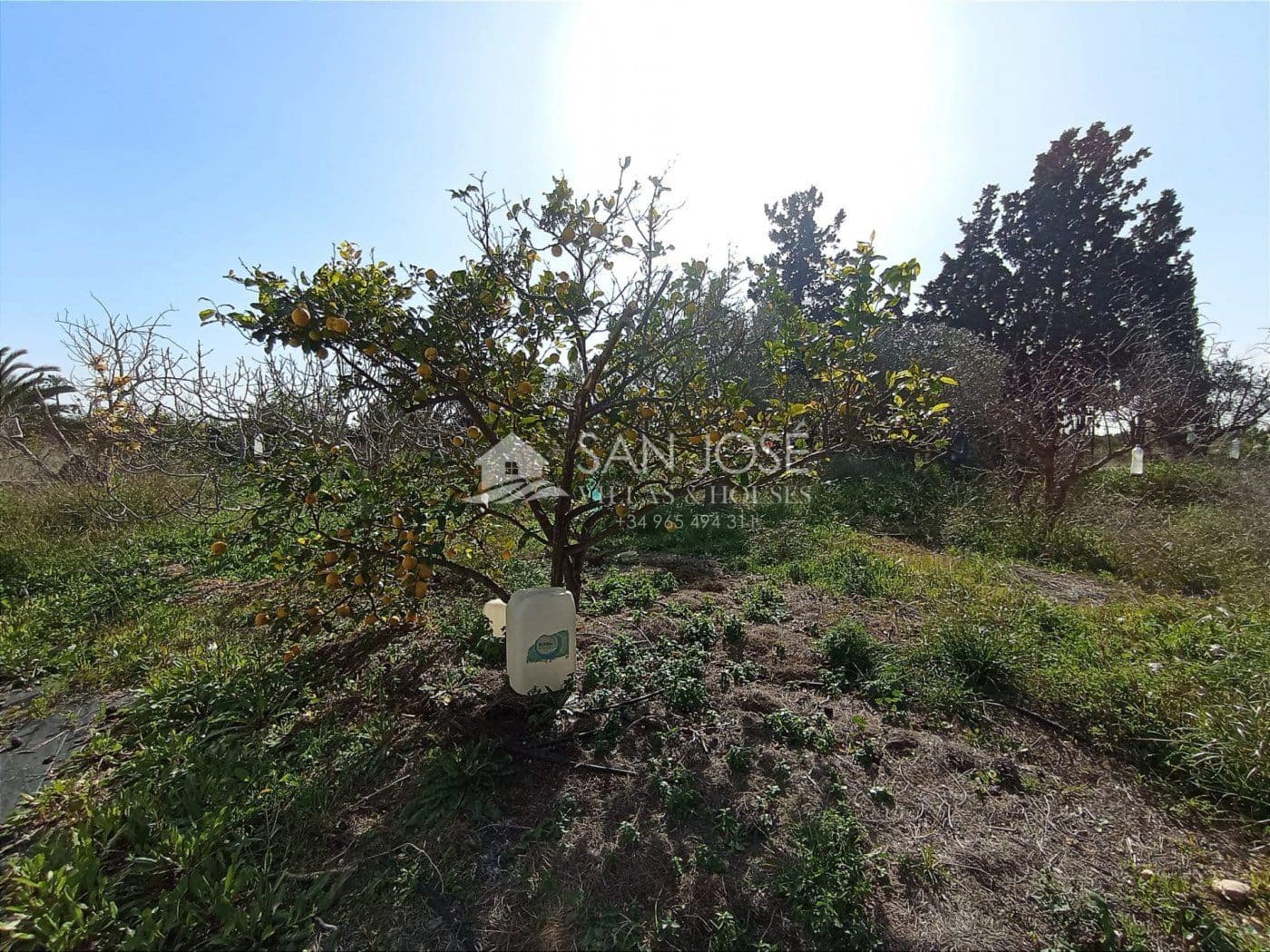 3 soverom Villa til salgs i Torrellano med svømmebasseng garasje - € 298 794 (Ref: 6619388)