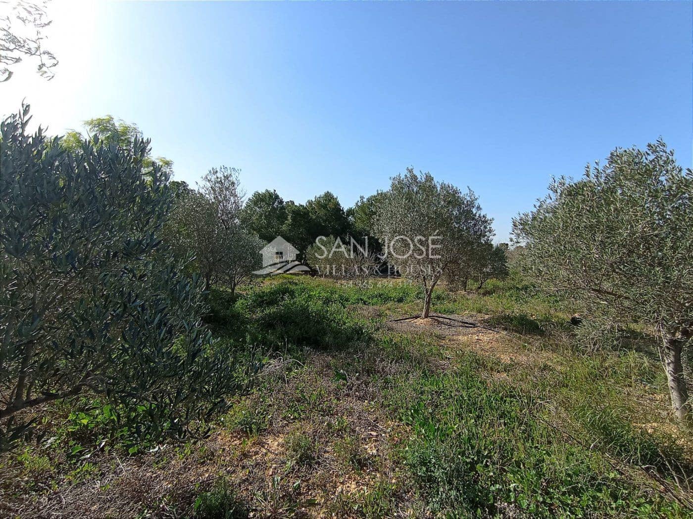 3 soverom Villa til salgs i Torrellano med svømmebasseng garasje - € 298 794 (Ref: 6619388)