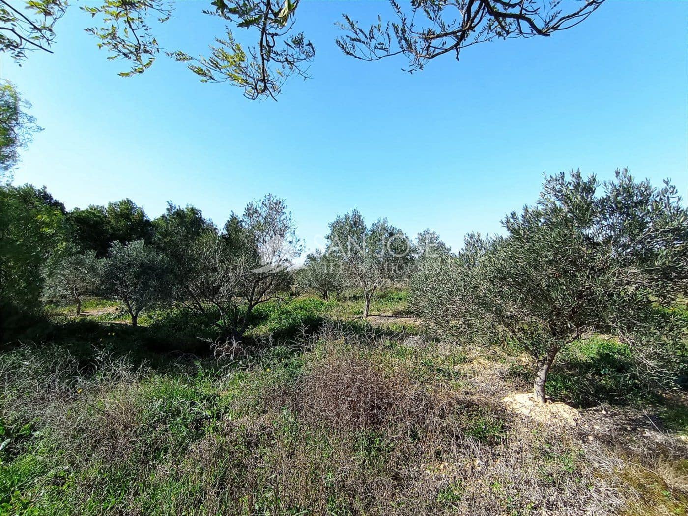 3 soverom Villa til salgs i Torrellano med svømmebasseng garasje - € 298 794 (Ref: 6619388)